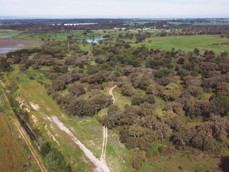 Terreno para Venda em Poceirão e Marateca Foto 10