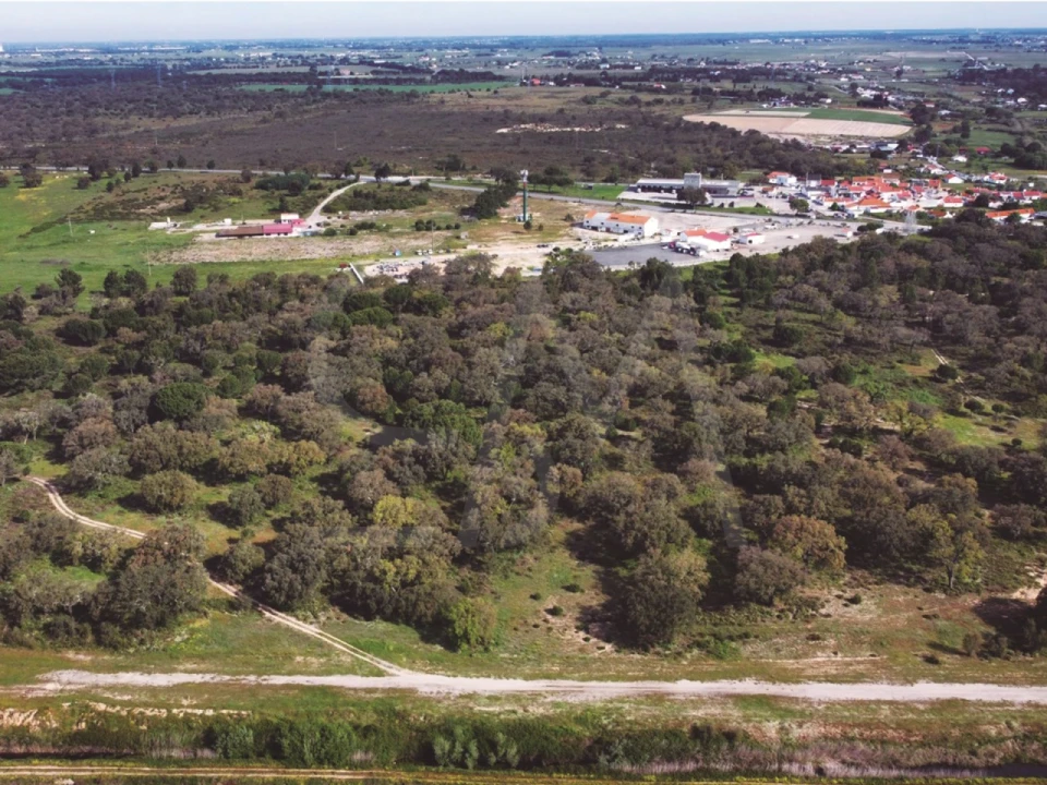Terreno para Venda em Poceirão e Marateca Foto 13