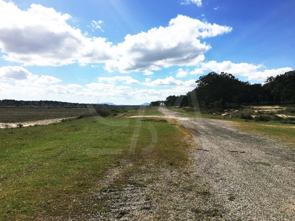 Terreno para Venda em Poceirão e Marateca Foto 26