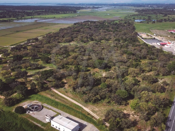 Terreno para Venda em Poceirão e Marateca Foto 5