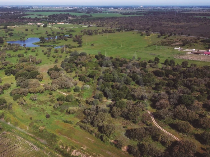 Terreno para Venda em Poceirão e Marateca Foto 4