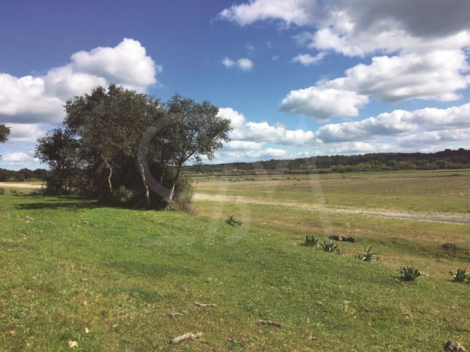Terreno para Venda em Poceirão e Marateca Foto 20