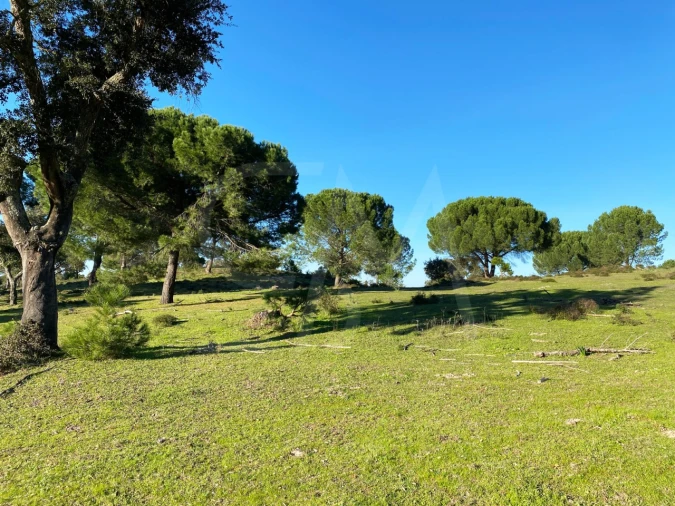 Terreno para Venda em Poceirão e Marateca Foto 3