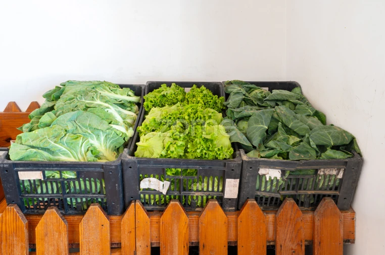 Negócio para Trespasse em Mafamude e Vilar do Paraíso Foto 32