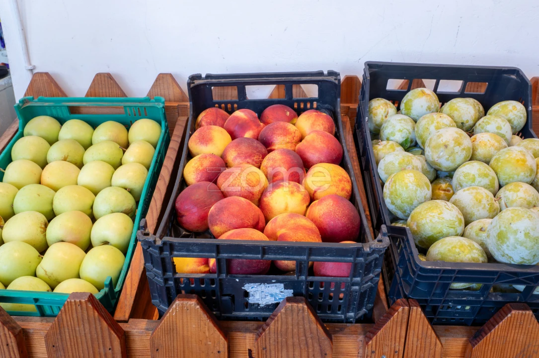 Negócio para Trespasse em Mafamude e Vilar do Paraíso Foto 17