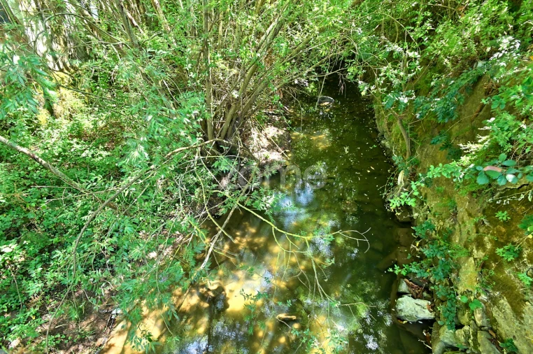 Quinta T7 para Venda em Dois Portos e Runa Foto 31