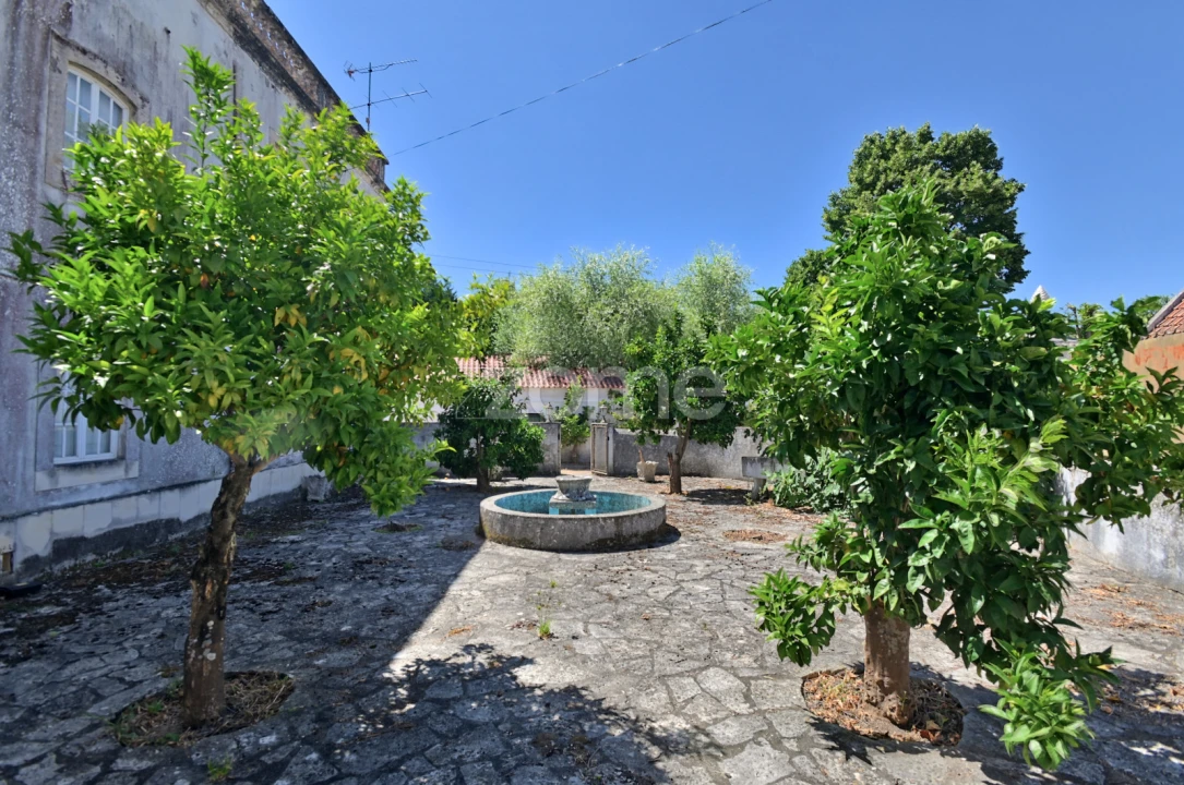 Quinta T7 para Venda em Dois Portos e Runa Foto 15