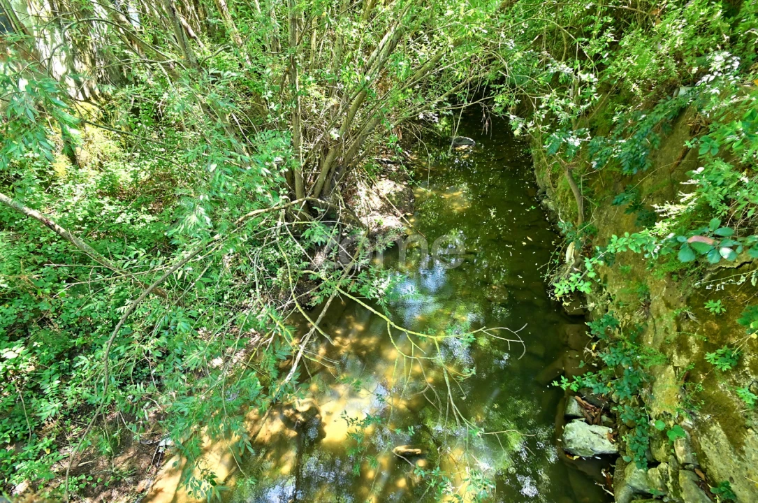 Quinta T7 para Venda em Dois Portos e Runa Foto 31