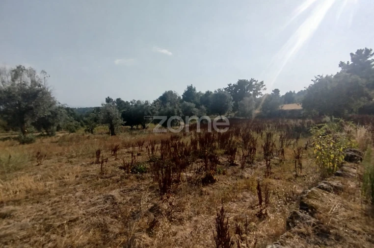 Terreno para Venda em Santiago de Cassurrães e Póvoa de Cervães Foto 8