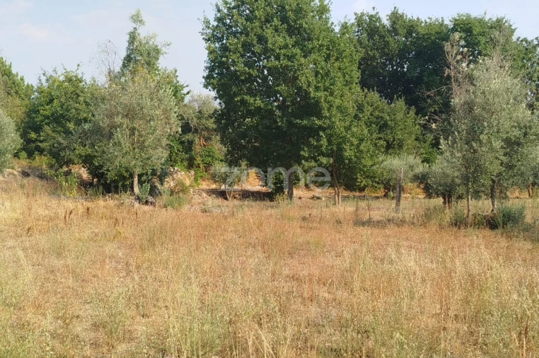 Terreno para Venda em Santiago de Cassurrães e Póvoa de Cervães Foto 13