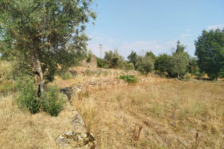 Terreno para Venda em Santiago de Cassurrães e Póvoa de Cervães Foto 14