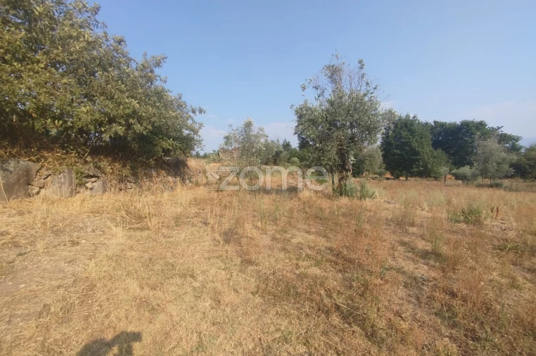Terreno para Venda em Santiago de Cassurrães e Póvoa de Cervães Foto 16