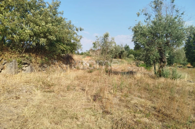 Terreno para Venda em Santiago de Cassurrães e Póvoa de Cervães Foto 17