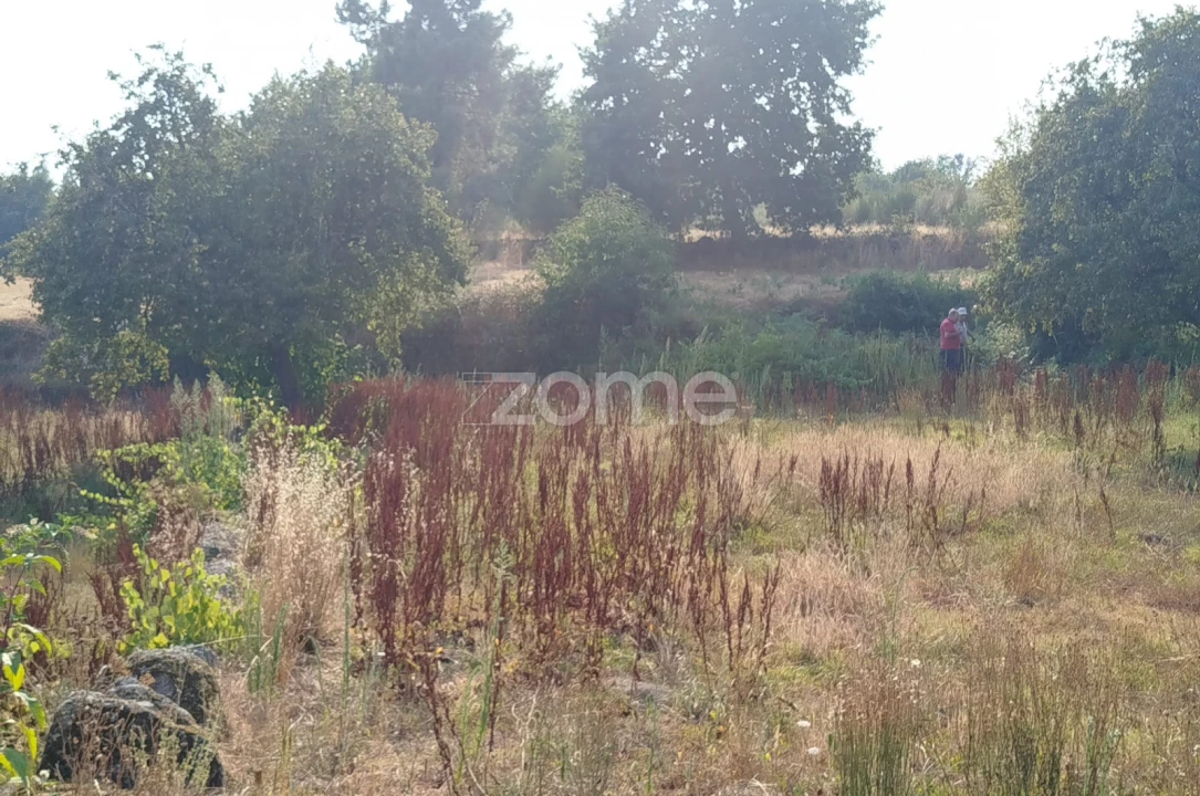Terreno para Venda em Santiago de Cassurrães e Póvoa de Cervães Foto 4