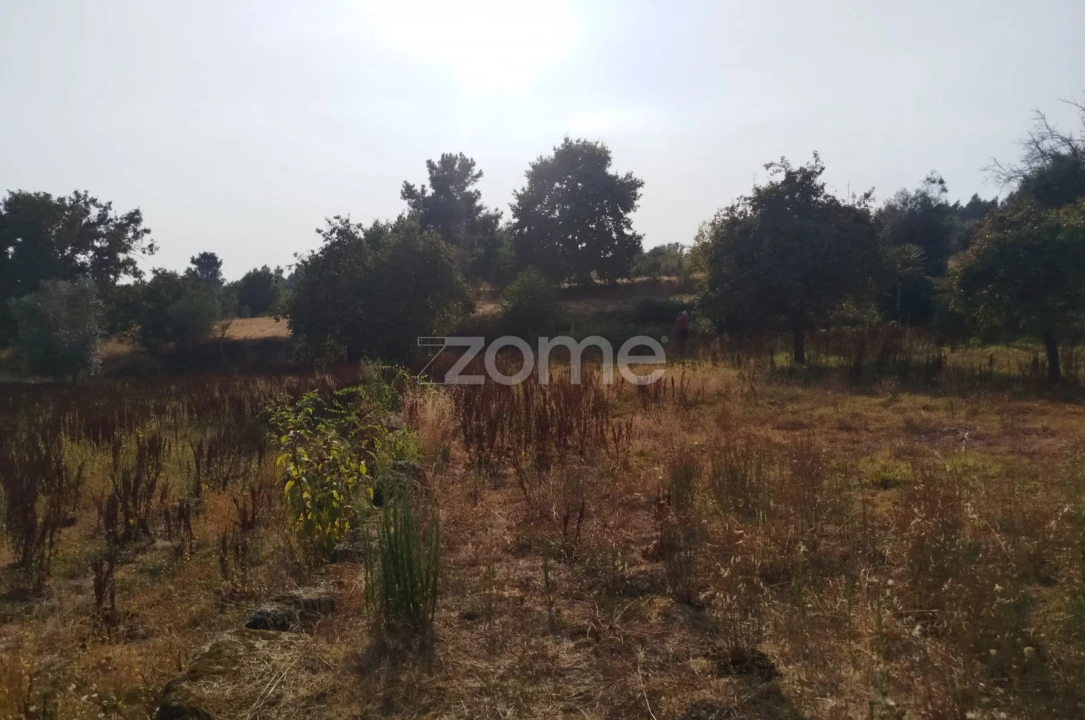 Terreno para Venda em Santiago de Cassurrães e Póvoa de Cervães Foto 5