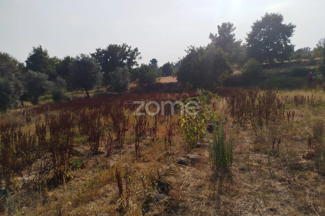 Terreno para Venda em Santiago de Cassurrães e Póvoa de Cervães Foto 3