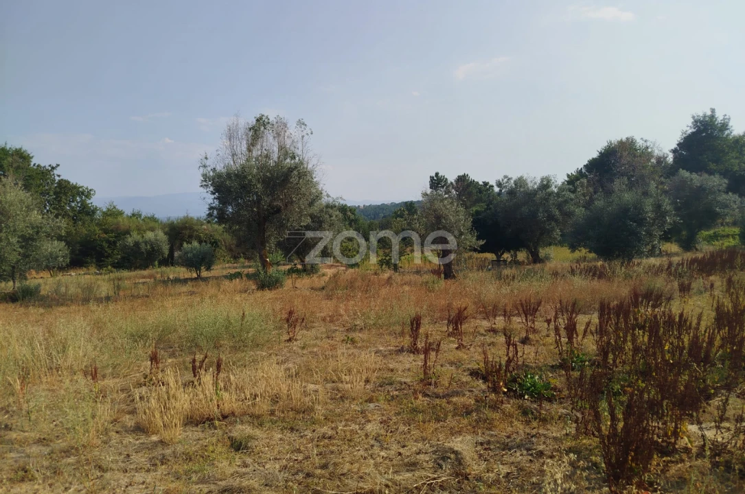 Terreno para Venda em Santiago de Cassurrães e Póvoa de Cervães Foto 10