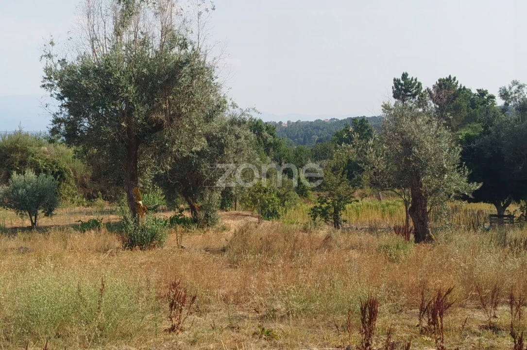 Terreno para Venda em Santiago de Cassurrães e Póvoa de Cervães Foto 12