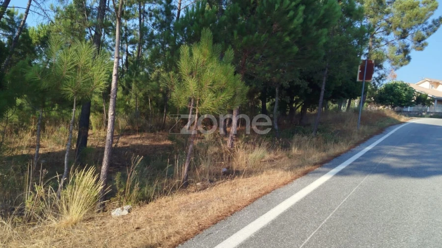 Terreno para Venda em Santiago de Cassurrães e Póvoa de Cervães