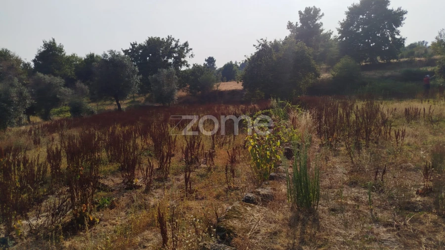 Terreno para Venda em Santiago de Cassurrães e Póvoa de Cervães