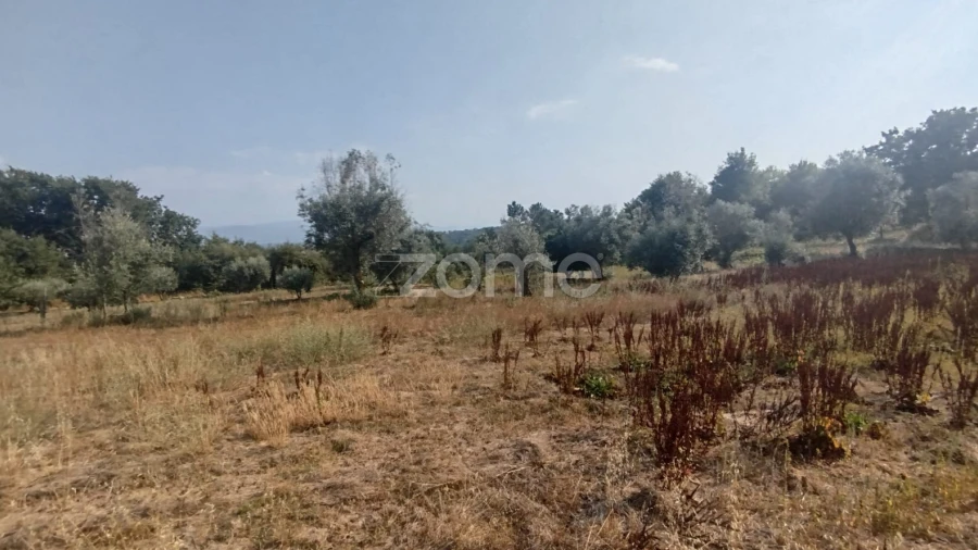 Terreno para Venda em Santiago de Cassurrães e Póvoa de Cervães