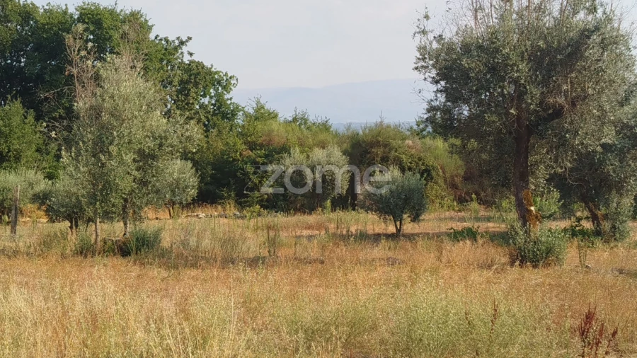Terreno para Venda em Santiago de Cassurrães e Póvoa de Cervães