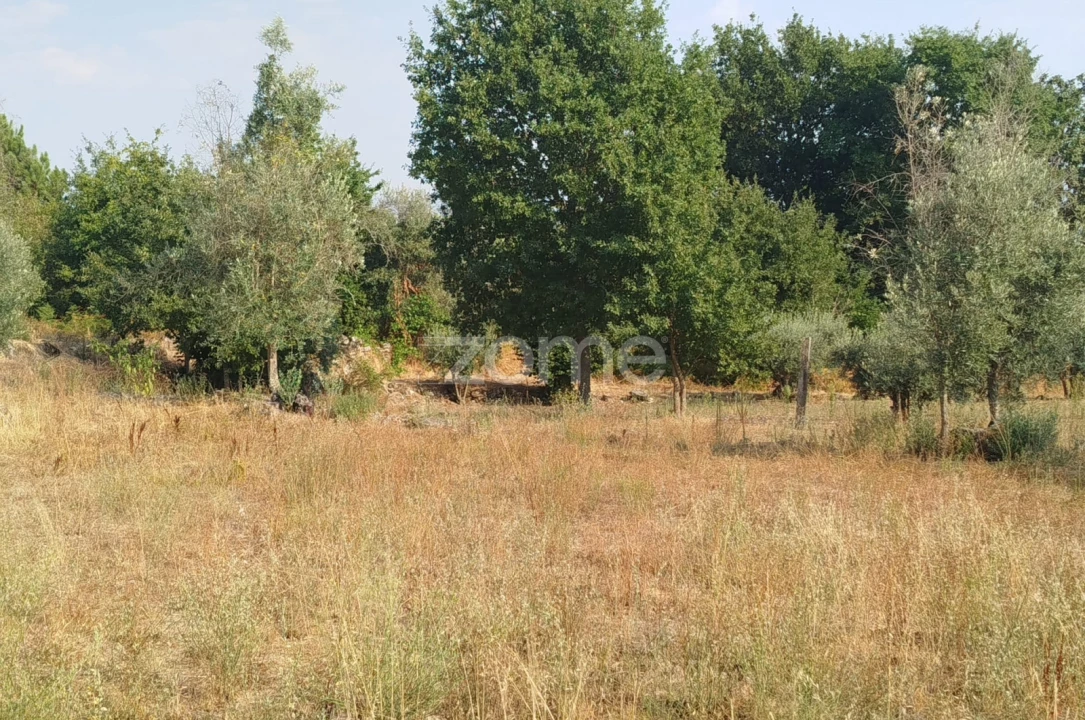 Terreno para Venda em Santiago de Cassurrães e Póvoa de Cervães Foto 13