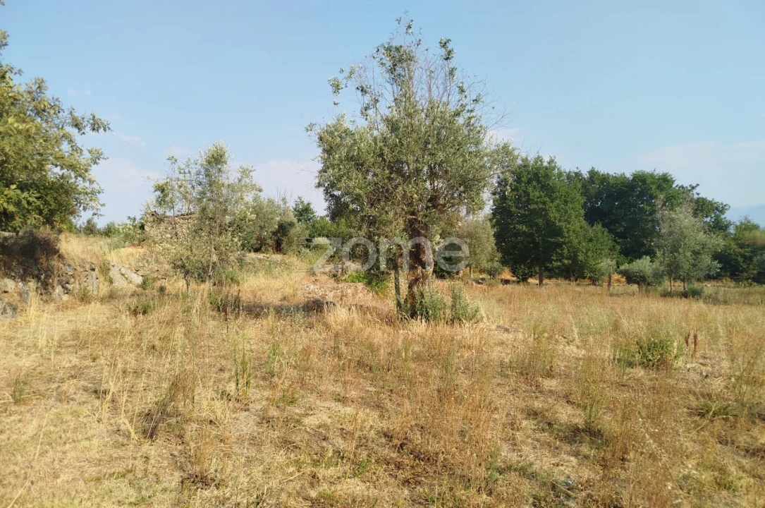 Terreno para Venda em Santiago de Cassurrães e Póvoa de Cervães Foto 15