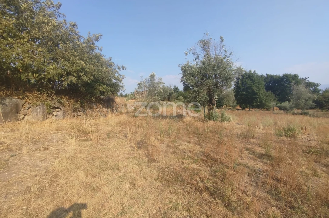 Terreno para Venda em Santiago de Cassurrães e Póvoa de Cervães Foto 16