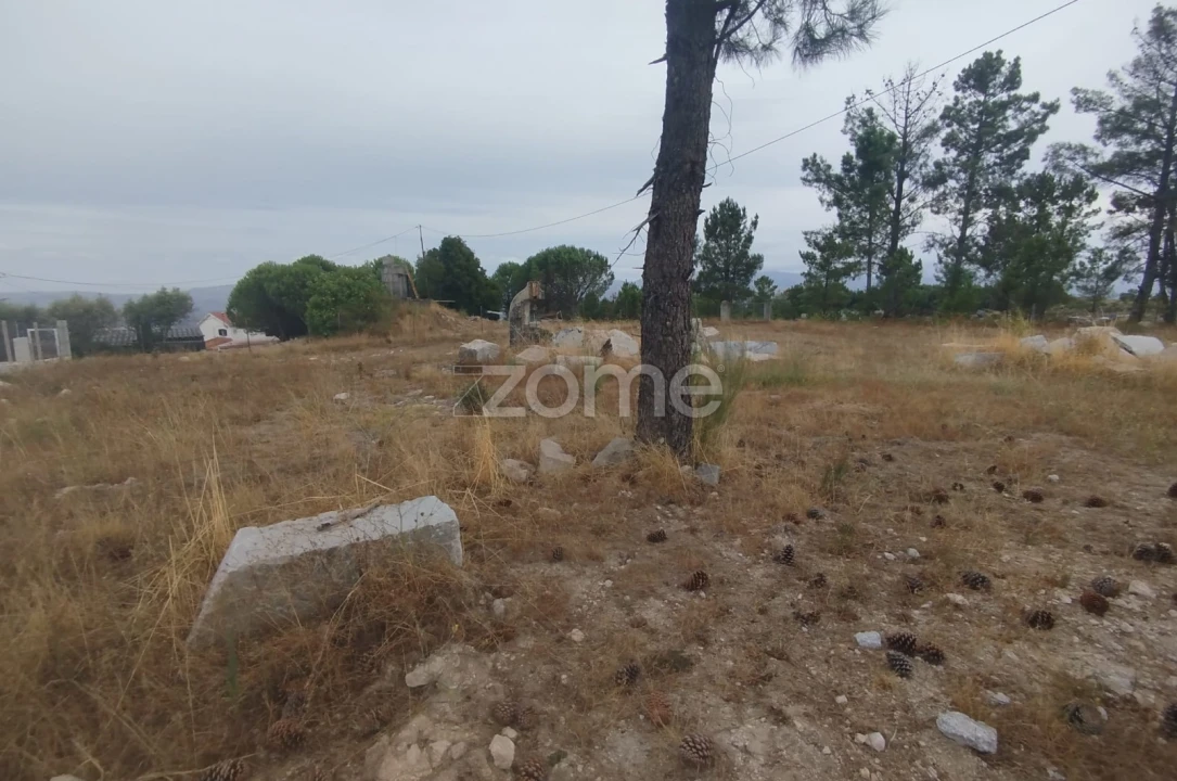Terreno para Venda em Mangualde, Mesquitela e Cunha Alta Foto 10
