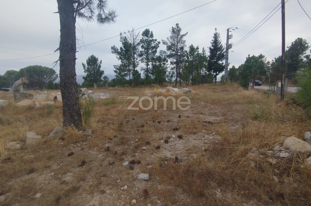 Terreno para Venda em Mangualde, Mesquitela e Cunha Alta Foto 9