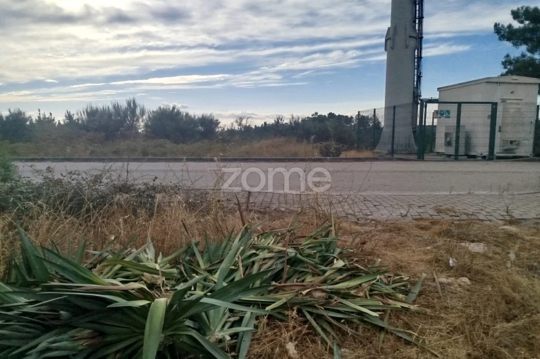 Terreno para Venda em Mangualde, Mesquitela e Cunha Alta Foto 1