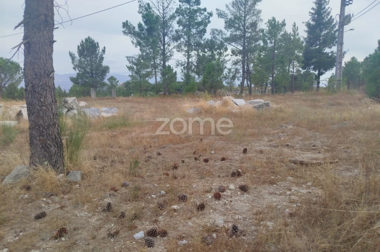 Terreno para Venda em Mangualde, Mesquitela e Cunha Alta Foto 2