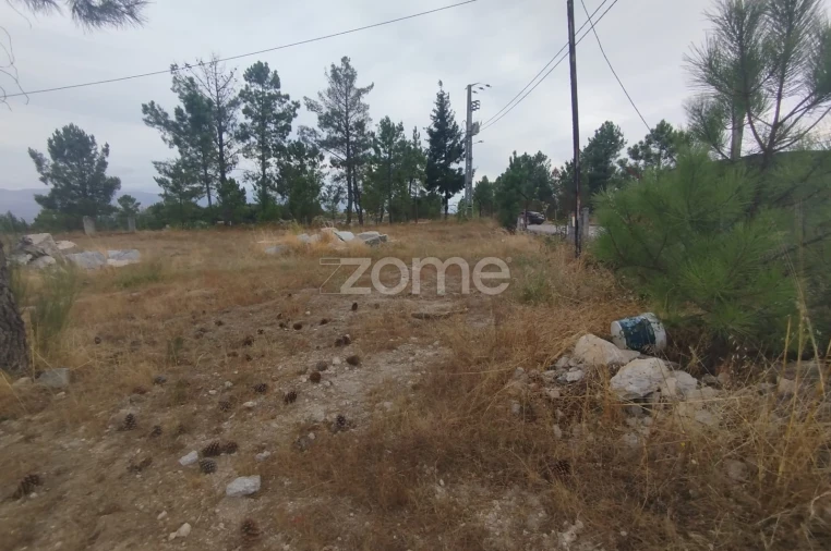 Terreno para Venda em Mangualde, Mesquitela e Cunha Alta Foto 11