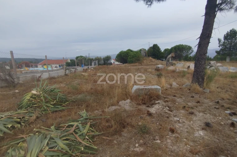 Terreno para Venda em Mangualde, Mesquitela e Cunha Alta Foto 13