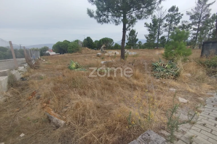 Terreno para Venda em Mangualde, Mesquitela e Cunha Alta Foto 14