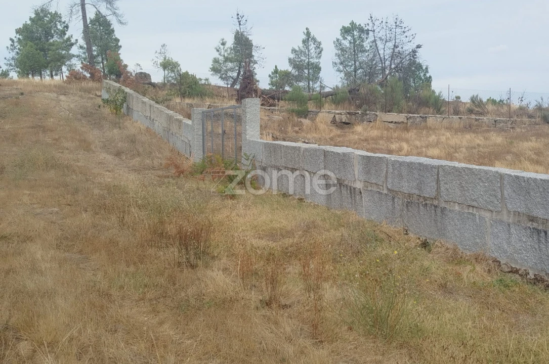 Terreno para Venda em Mangualde, Mesquitela e Cunha Alta Foto 14