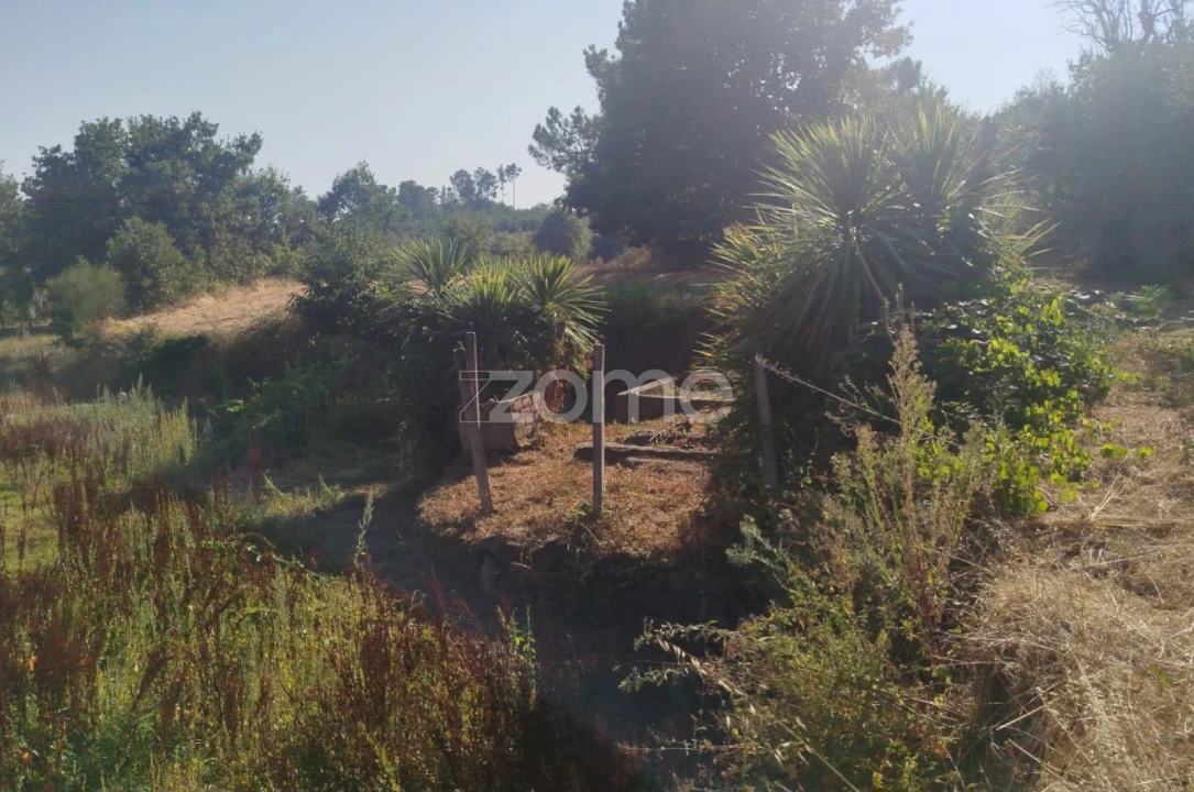 Terreno para Venda em Santiago de Cassurrães e Póvoa de Cervães Foto 2