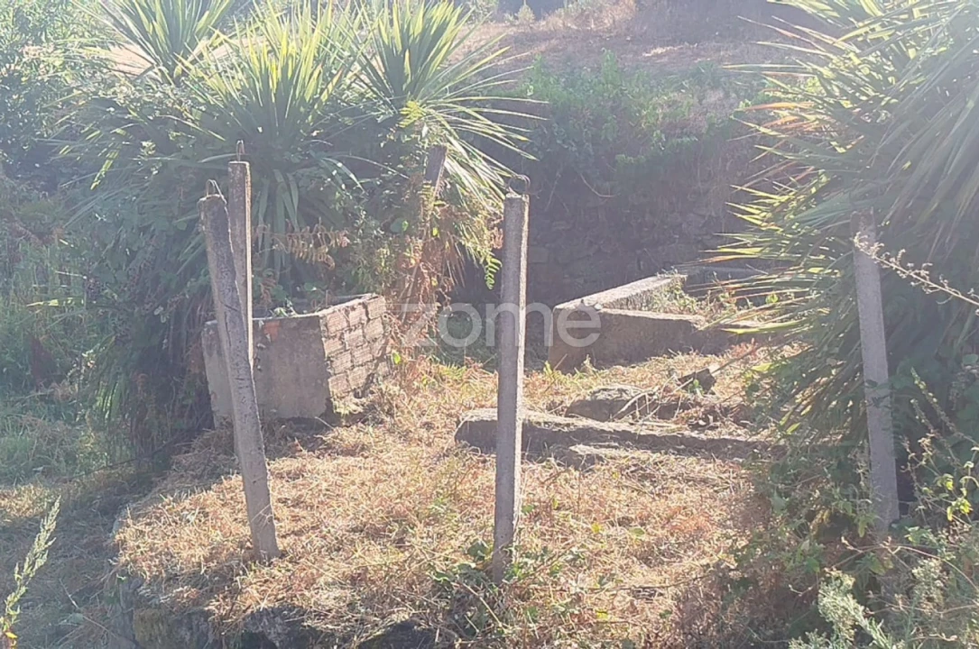 Terreno para Venda em Santiago de Cassurrães e Póvoa de Cervães Foto 3