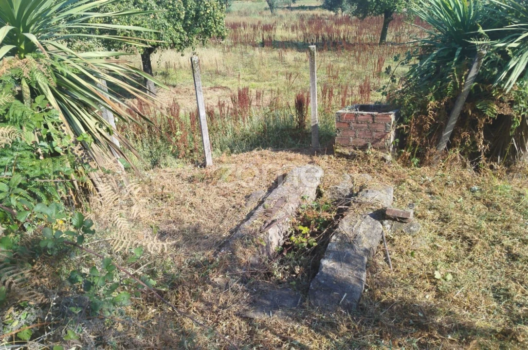 Terreno para Venda em Santiago de Cassurrães e Póvoa de Cervães Foto 4