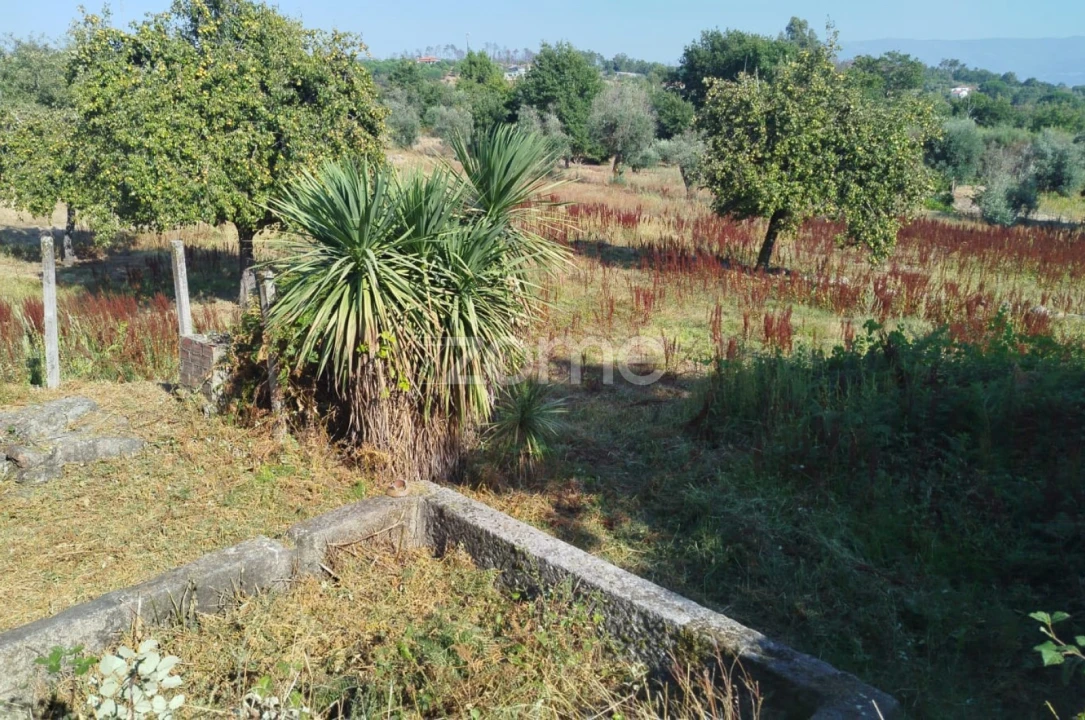 Terreno para Venda em Santiago de Cassurrães e Póvoa de Cervães Foto 9