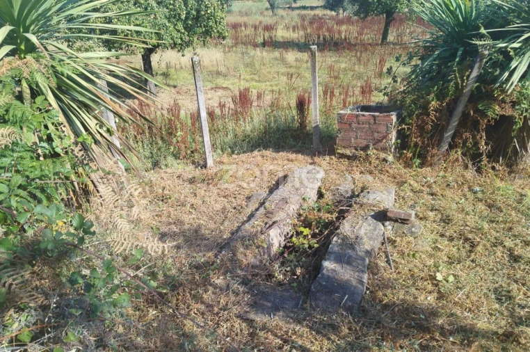 Terreno para Venda em Santiago de Cassurrães e Póvoa de Cervães Foto 4