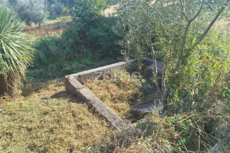 Terreno para Venda em Santiago de Cassurrães e Póvoa de Cervães Foto 6