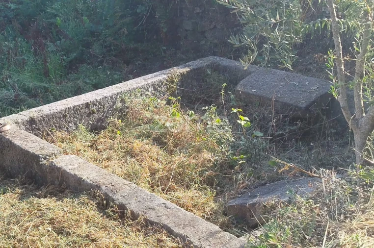Terreno para Venda em Santiago de Cassurrães e Póvoa de Cervães Foto 7