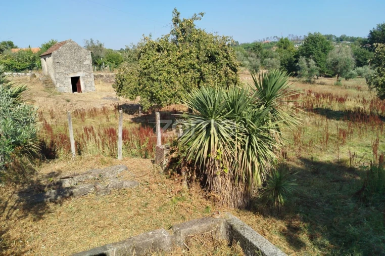 Terreno para Venda em Santiago de Cassurrães e Póvoa de Cervães Foto 10