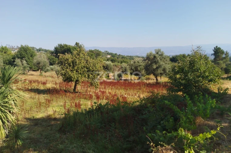 Terreno para Venda em Santiago de Cassurrães e Póvoa de Cervães Foto 11