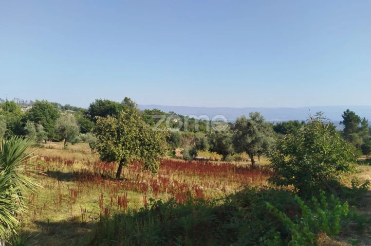 Terreno para Venda em Santiago de Cassurrães e Póvoa de Cervães Foto 12