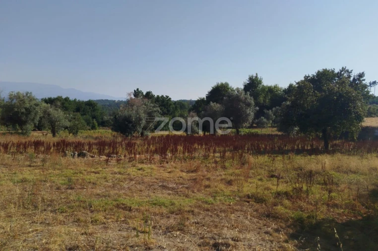 Terreno para Venda em Santiago de Cassurrães e Póvoa de Cervães Foto 18