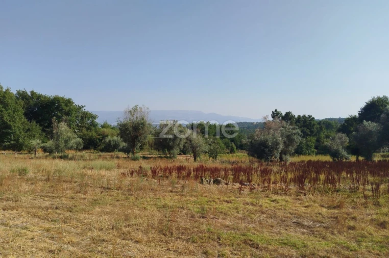Terreno para Venda em Santiago de Cassurrães e Póvoa de Cervães Foto 19