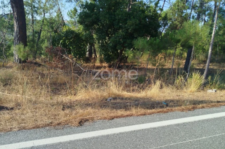 Terreno para Venda em Santiago de Cassurrães e Póvoa de Cervães Foto 21